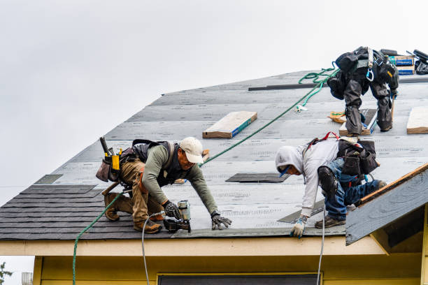 Professional Gutter Installation technician working in Larchwood, IA